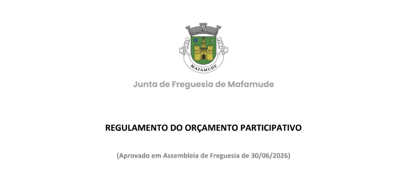 Regulamento do Orçamento Participativo