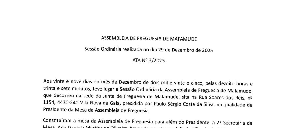 Ata 29/2025